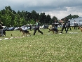 Array